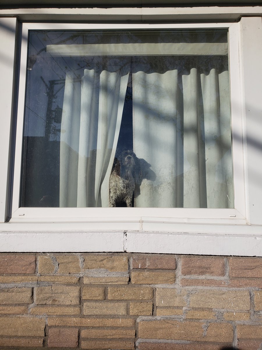 .<a href="/_chicagowindow/">Chicago Windows</a>