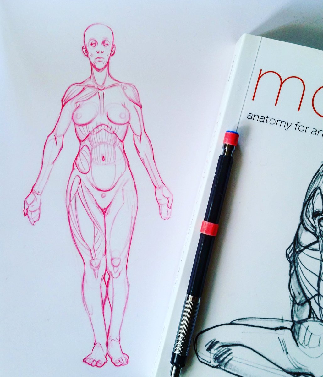 drawcumentary's tweet photo. Sunday studies from "Morpho", currently obsessed with this book, love it #lifedrawing #anatomyart https://t.co/uXETbJCARg