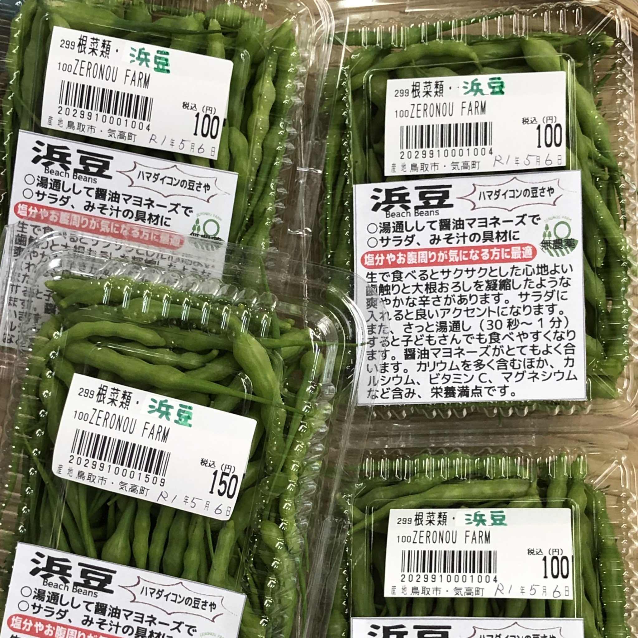 ０円農業 ハマダイコンの豆さや初出荷 買う人いるのだろうか ﾊﾃ ハマダイコン 野生大根 豆さや 小さいので収穫が面倒 誰も出さない 希少野菜 生でも茹でても 醤油マヨネーズがよく合う 0円農業 家庭菜園 鳥取 T Co Jfeirl6rum