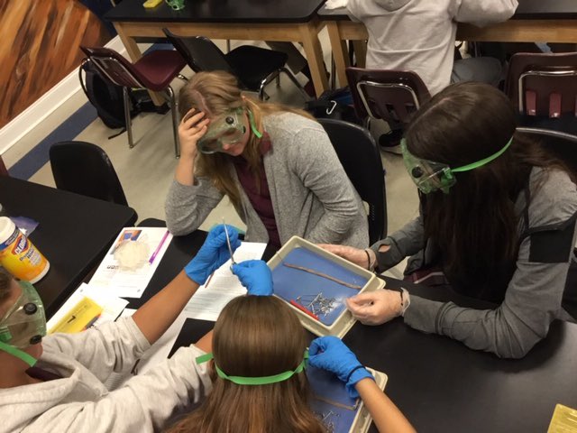 SCAJRHIGH's tweet photo. Mrs Brown knows how to make science fun, and a little gross! That’s exactly how our 7th graders like it! #DissectionTime #WormsCrawfishAndFish #OhMy 🔎🔬💯 https://t.co/tfDs0d0wLJ