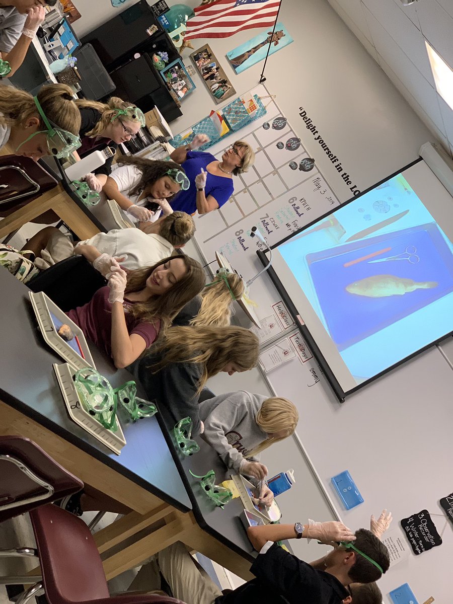 SCAJRHIGH's tweet photo. Mrs Brown knows how to make science fun, and a little gross! That’s exactly how our 7th graders like it! #DissectionTime #WormsCrawfishAndFish #OhMy 🔎🔬💯 https://t.co/tfDs0d0wLJ