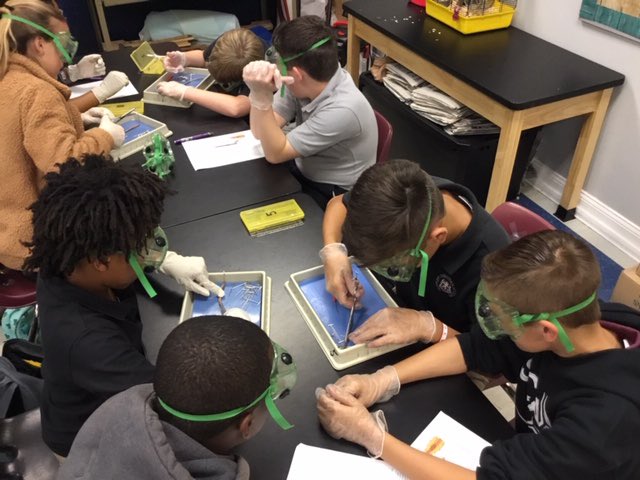 SCAJRHIGH's tweet photo. Mrs Brown knows how to make science fun, and a little gross! That’s exactly how our 7th graders like it! #DissectionTime #WormsCrawfishAndFish #OhMy 🔎🔬💯 https://t.co/tfDs0d0wLJ