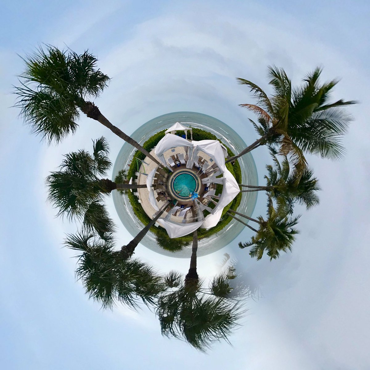 MonaLisaLvsHeah's tweet photo. Sanibel, we knew you well ππΊ
For a few days, anyway π΄π
1.Pool https://t.co/Z3yIJMTMVR 3.Beach 4.American White Ibis
#tinyplanetapp #Sanibel #shells #loveisintheair #iPhoneography https://t.co/qu2wWbHDHQ
