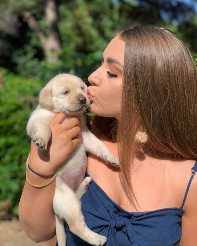 Dawn_Shapley's tweet photo. My baby girl, Jessie &amp; our new puppy, River. https://t.co/xD6VRuvHRN https://t.co/30GGfSLncj