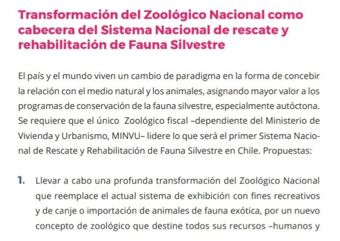Consti_animales's tweet photo. Propuesta @ZOOXXIproject fue aprobada en Barcelona. Como @elfrente_amplio estamos felices y convencidas, la #Reconversion es la solución al anacrónico paradigma de #Zoo.
Un compromiso del #ProgramaDeMuchos en el que seguiremos trabajando!
Dale un vistazo.
#NoMasZoo https://t.co/VliQj6fyy0