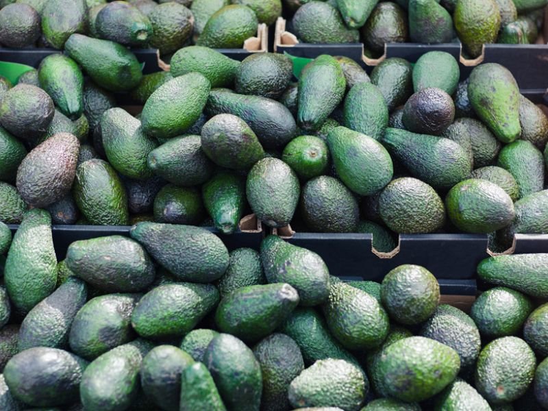 <a href="/AndrewYang/">Andrew Yang🧢⬆️🇺🇸</a> More Avocados To Have

$1000 a month .. that's a lot of avocados