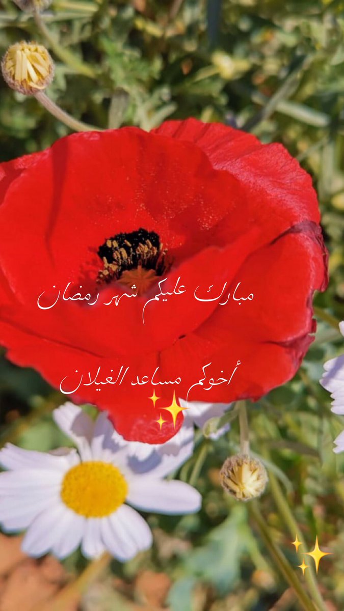 مساعد الغيلان (@msada7381) on Twitter photo 
