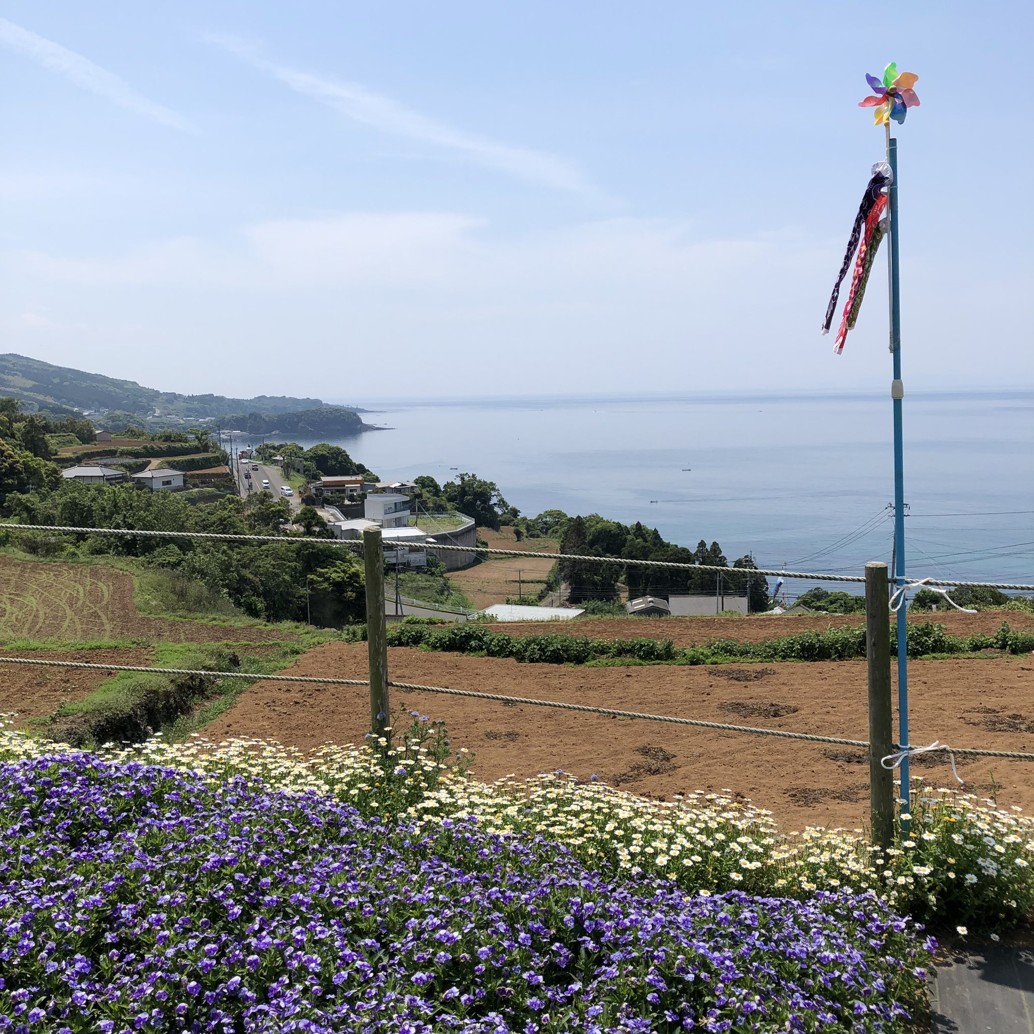 長島花フェスタ Twitter Search Twitter
