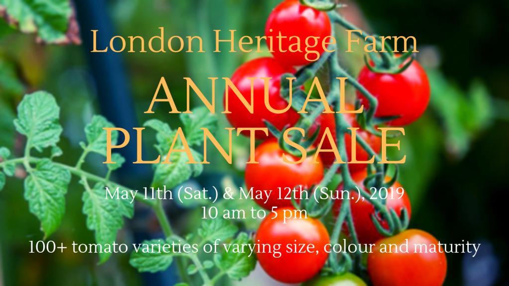 To All Tomato Lovers londonheritagefarm.ca/news/?p=6586