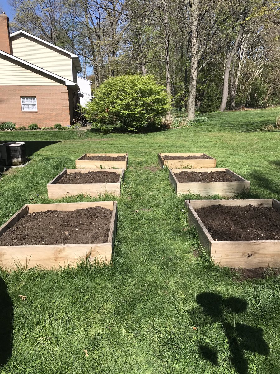 SarahRiveraSTEM's tweet photo. Didn’t plant 150 blueberry bushes like @knyzen today but we did get all the garden beds ready to go with that #compostmagic ! Peas, beans, corn, watermelon, and pumpkins all planted. Hop rhizomes next when we figure out where to put them 🤷🏼♀️ #greenthumb #growyourfood https://t.co/9Jhm2ymzWa