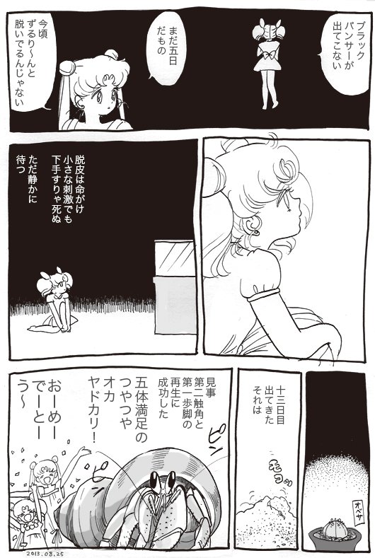 オカヤドカリの初脱皮 