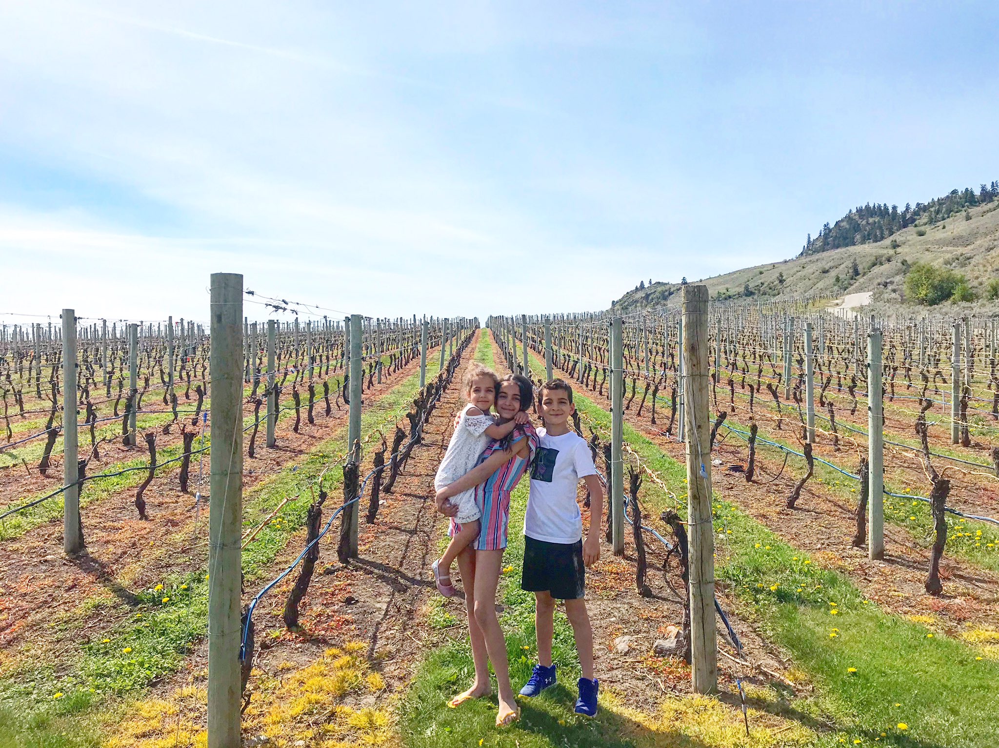 Platinum bench winery hot sale