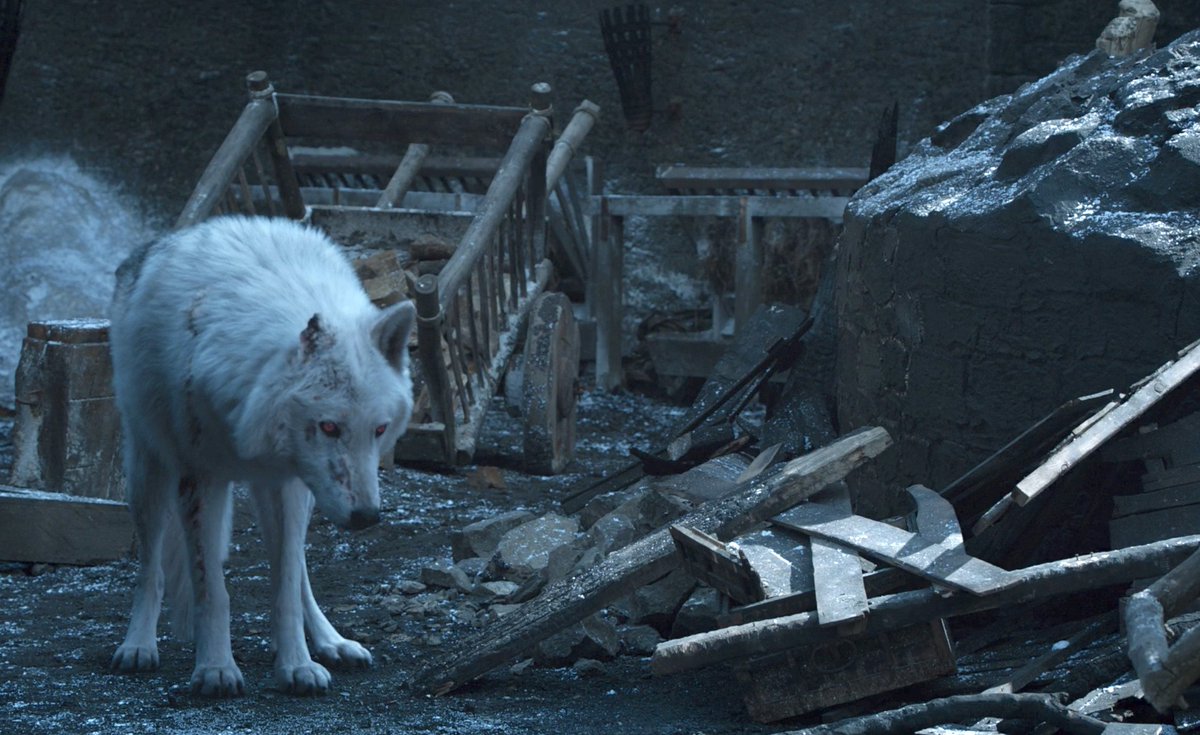 binge_mode's tweet photo. Ok this might actually be the single saddest shot of the entire series.

JON. WHY. #GameofThrones https://t.co/u6mm4VriHy