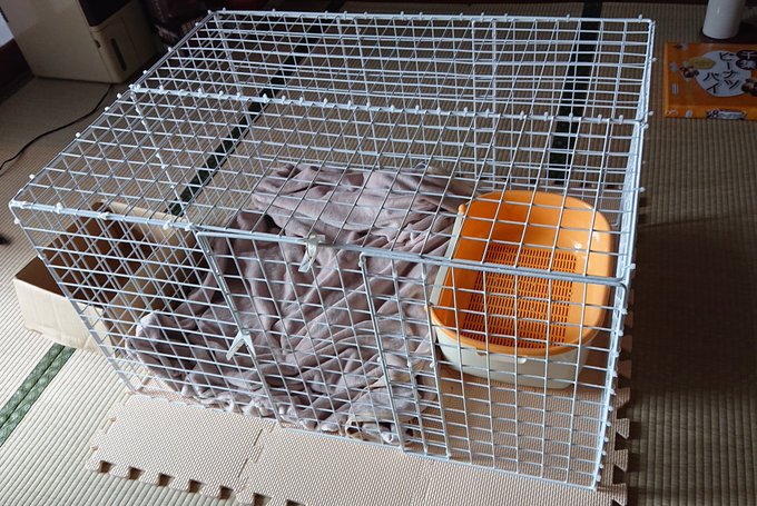 猫のケージは手作りできる Diyに必要な材料や作り方は 猫の総合情報サイト ペットスマイルニュースforネコちゃん