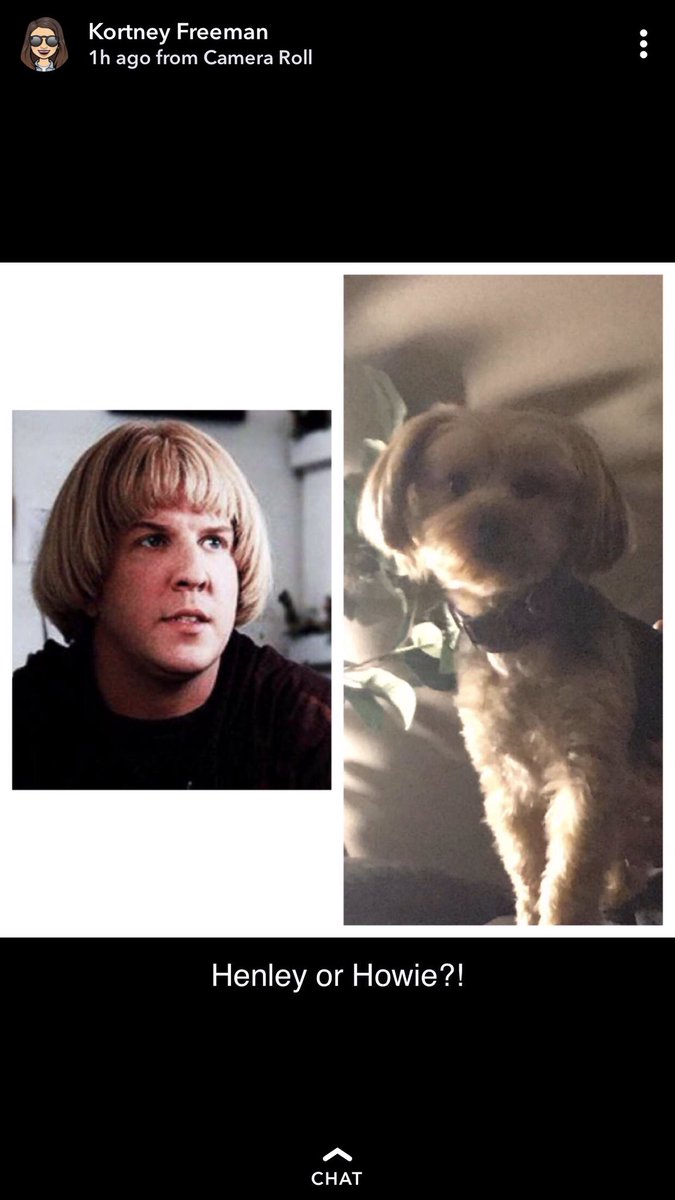 AshleyLBurling's tweet photo. When your dog gets groomed and looks like she belongs in Benchwarmers...my sister in law pretty much nailed this comparison...
#sunbad #insidesafer https://t.co/NCGWWxcepG