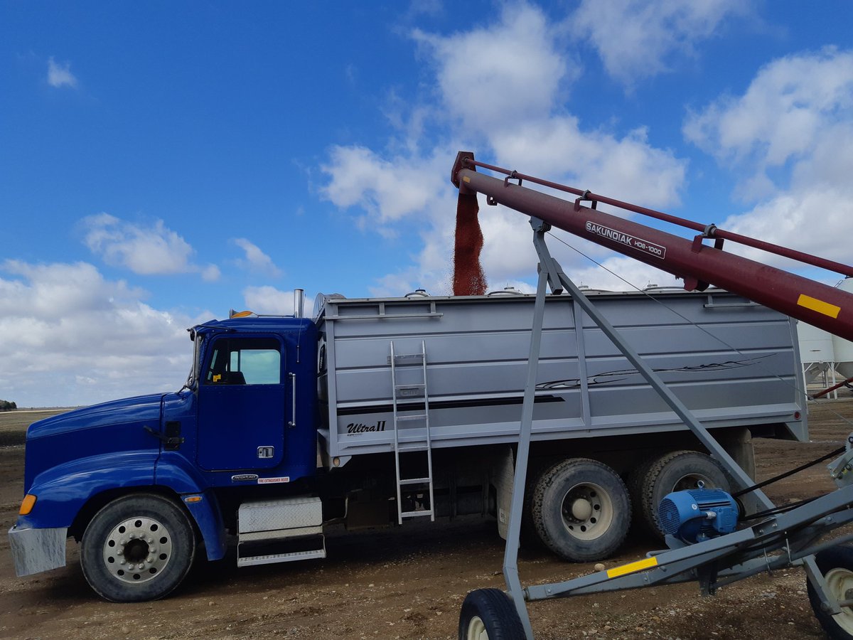 That's a nice color.  Ready for some warmer weather now.  #insurecerealfx4 #plant19