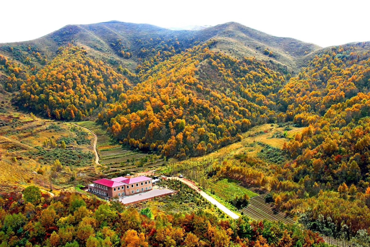 NXNEWS's tweet photo. 宁夏固原火石寨风景照，旅游好时光。 https://t.co/DmyBk1RaLu