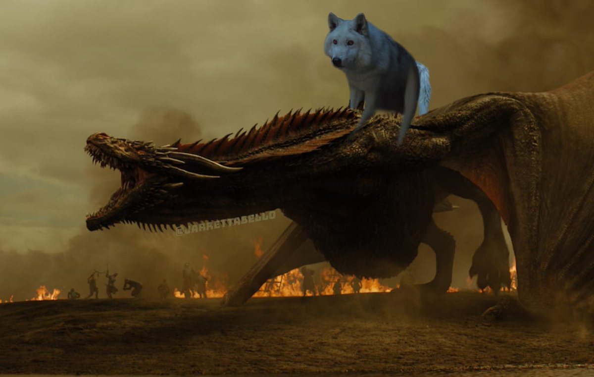 Roo_rival's tweet photo. Maten a todos y les propongo el nuevo reinado #GameofThrones https://t.co/ITRhMiTjUQ