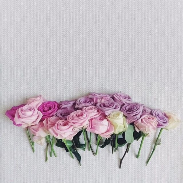 LoOleta_98's tweet photo. @waleeed_alahmad صباح النور،، وكل عام وانت بخير وبصحه وسلام والله يتقبل منا ومنك صالح الاعمال مايجي منك قصور ابد،، الله يجمعنا على خير 🌹 https://t.co/uurp5wJ8pA