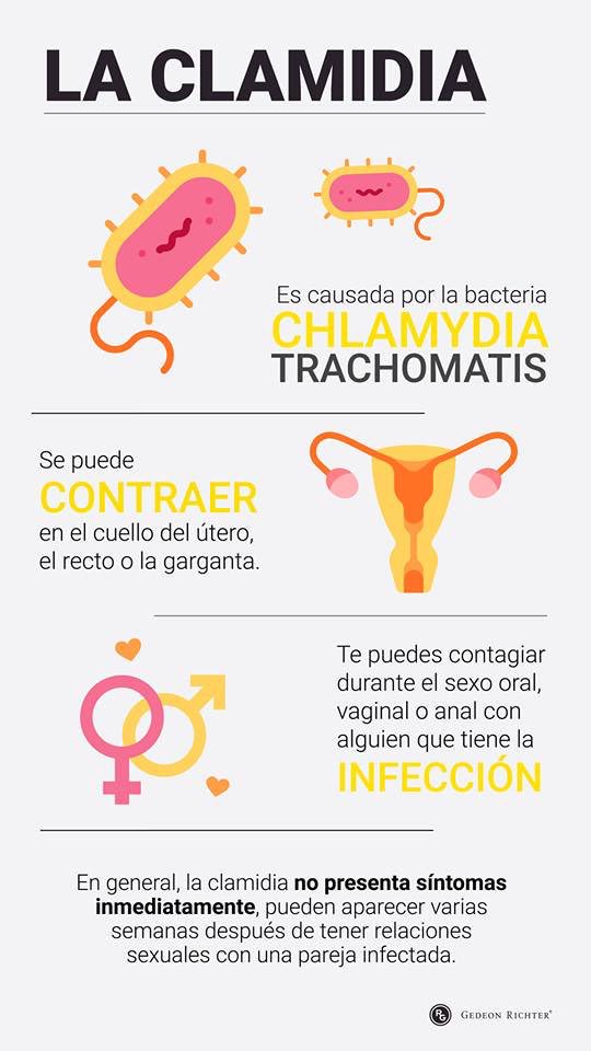 ets_sexual's tweet photo. ¿Sabias estos datos sobre la clamidia?
🔴❌🗣🙋🏻‍♀️🙋🏻‍♂️⬇️💡#clamidia #datos #informate https://t.co/XlW0WkgzVq
