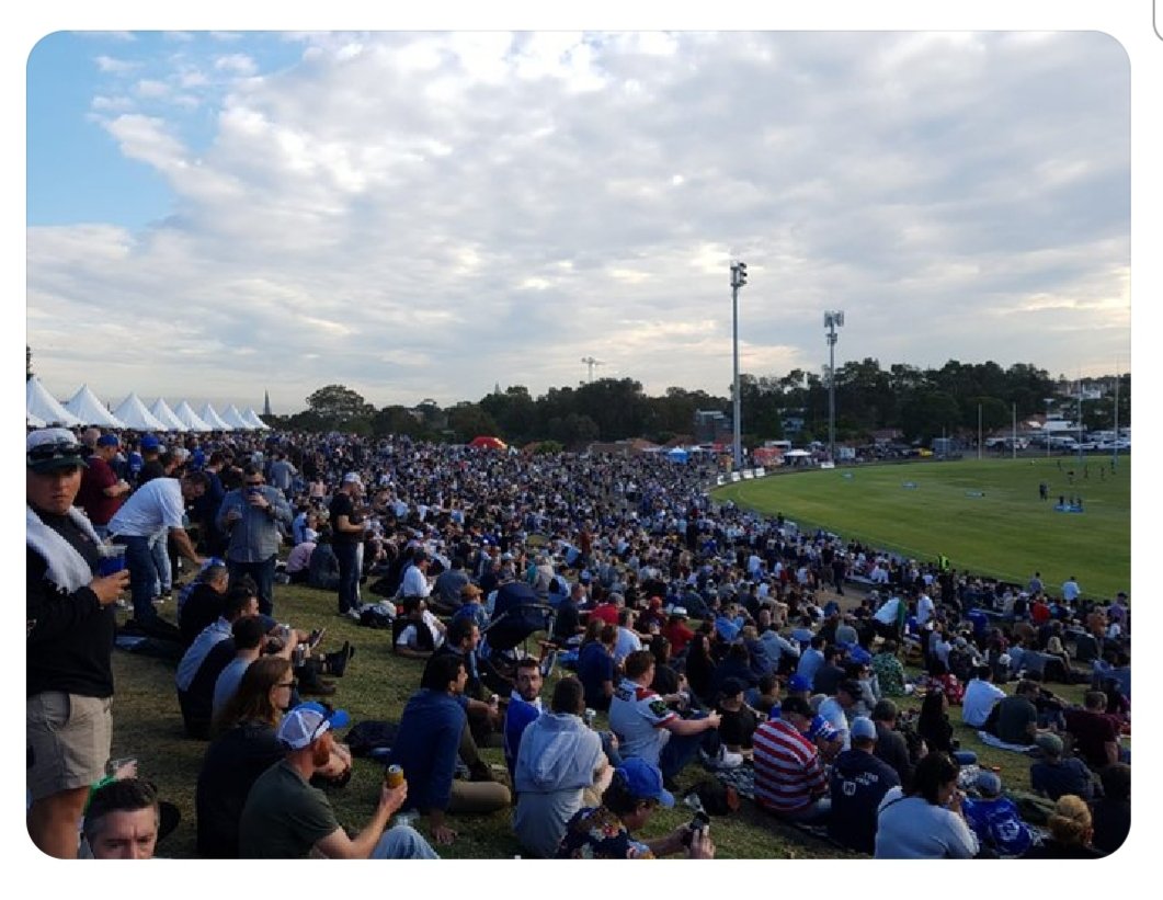 Dave Ray tweet media