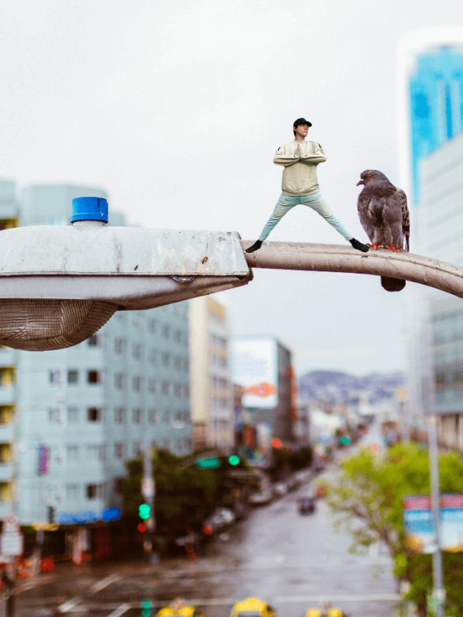 Mxl_27's tweet image. Conversando con la paloma antes de cazarla