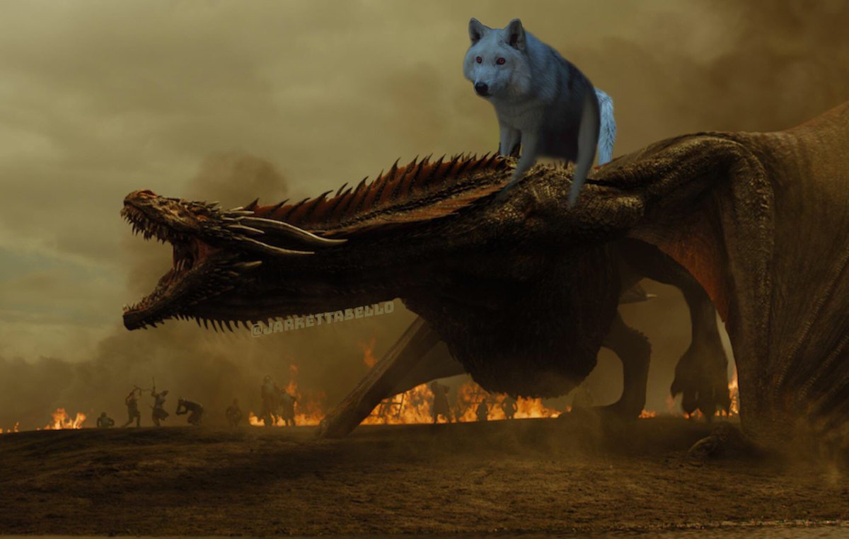 neuromanso's tweet photo. Ghost &amp; Drogon be like:
FUCK THIS SHIT https://t.co/Bt2YJwSHX8