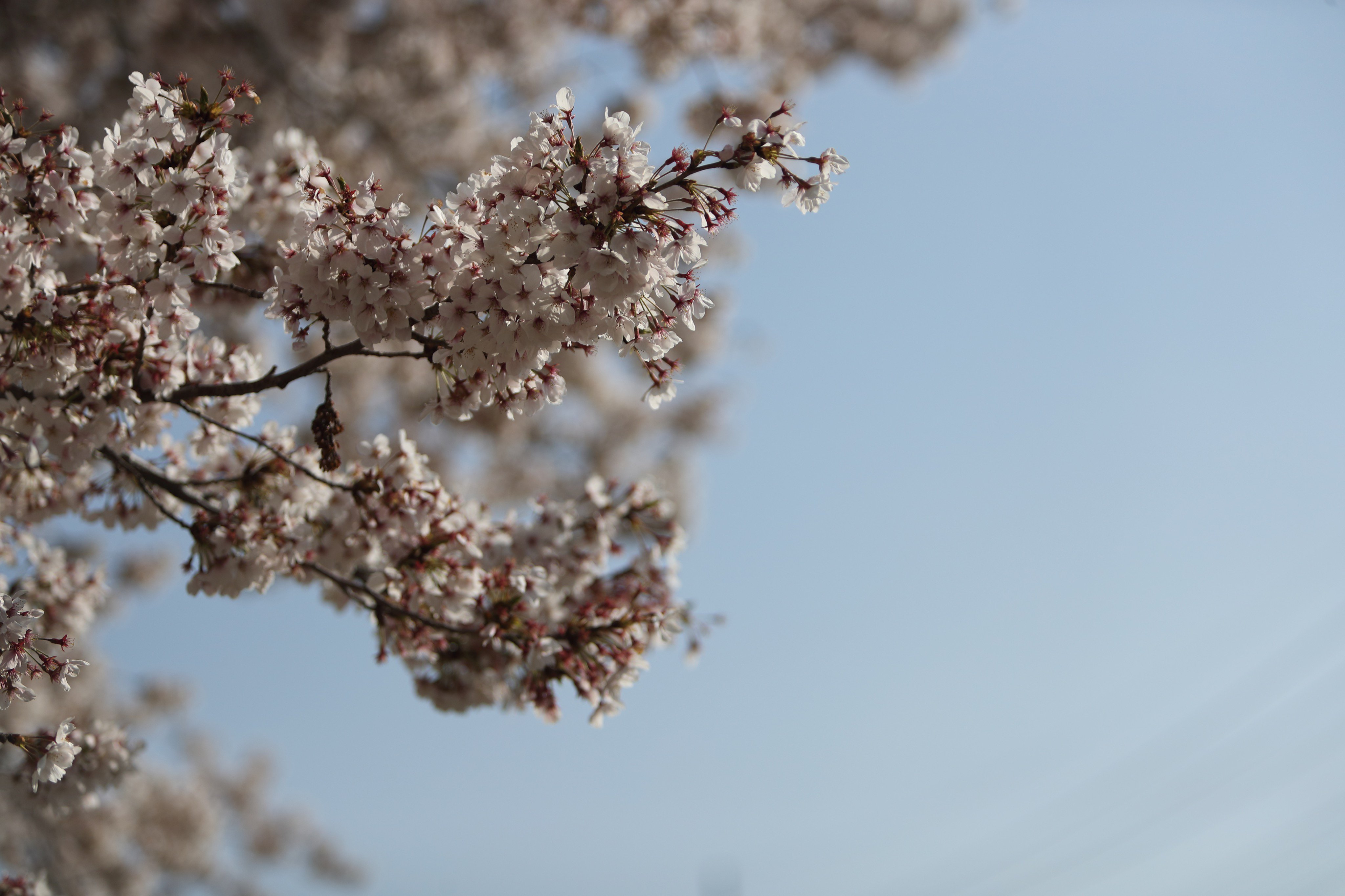 Ef70 0 Twitter Search Twitter