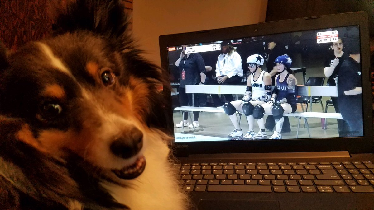 DNVRRollerDerby's tweet photo. Ayla is confused because she doesn’t understand jammer swaps and jammers starting in the box. Good thing the NSOs are amazing and will handle it like pros! #BigO2019 #MileHydra #BigOdogs https://t.co/9lcsuiEjdK