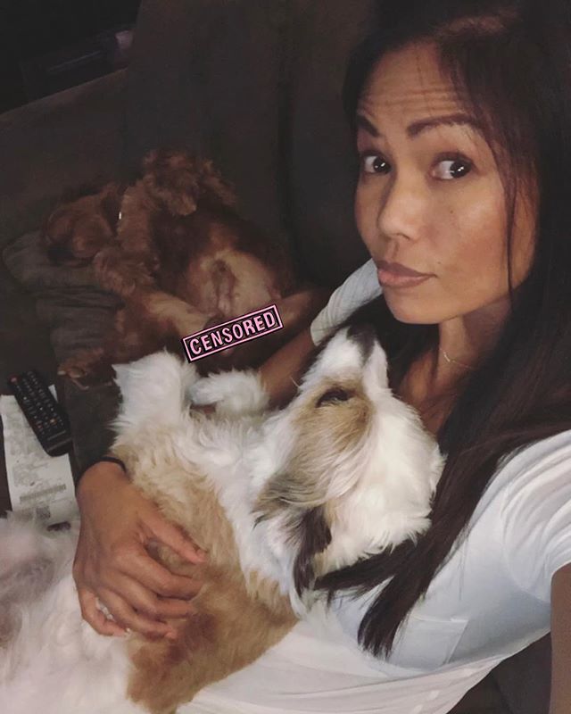 MJGines's tweet photo. The cuddler and the flasher. Baer’s favorite sleeping position. #deadcockroach #deadbug 🐶🐻
.
.
.
#dogsofinstagram #dogs #rescuedogsofinstagram #rescuedog #rescuedogs #sundaynight https://t.co/adQZ2iZIq3 https://t.co/orlAUJ8yLd
