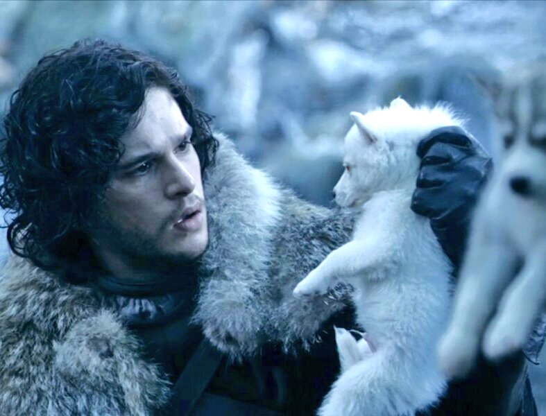 Atomic404's tweet photo. #GameOfThrones
"He deserves better"

#Ghost : You know nothing #JonSnow https://t.co/Nhvu0c8dr5