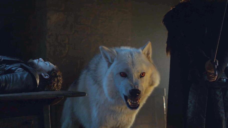 inlovewstiles's tweet photo. Míralo ahí protegiendo al pelotudo de Jon cuando estaba muerto para que lo termine ABANDONANDO #gameofthrones https://t.co/1IwOPGADht