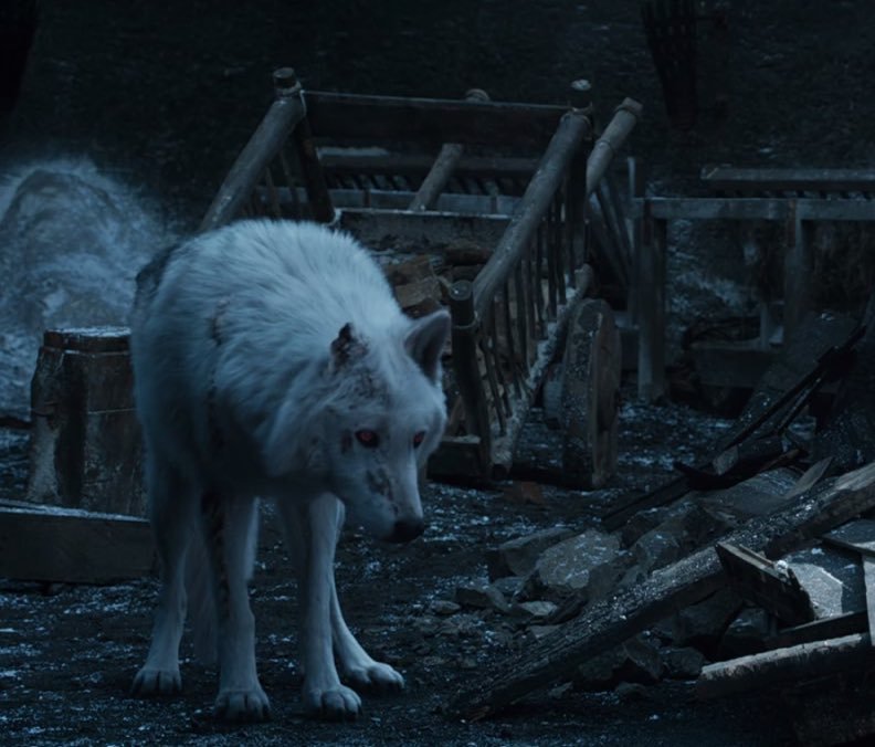 ohmytargaryen's tweet photo. YOU DON'T LEAVE GHOST WITHOUT EVEN PET HIM, JON. GO BACK TO HIM AND GIVE HIM ALL YOUR DAMN LOVE! #GameofThrones #GOTS8E4 https://t.co/IU7qpZsWlr