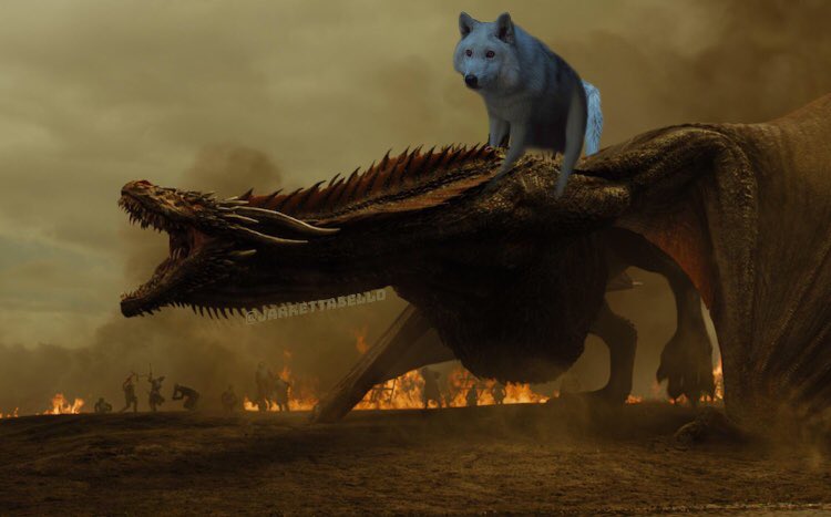 RT13__'s tweet photo. If this is not how #GameOfThrones ends I’m gonna be pissed https://t.co/nvPHBYexsM