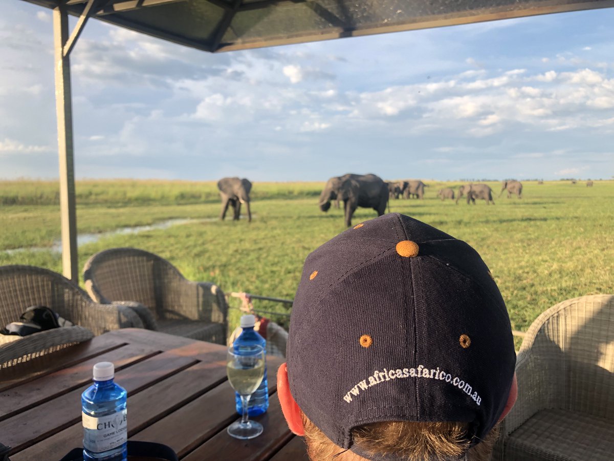 AfSafCo's tweet photo. What a beautiful experience, enjoying a Sunset cruise on the Chobe River and in one of Chobe Game Lodge’s electric, solar powered boats - it's a silent eco-conscious river safari like no other!
@chobegamelodge #afsafco #safari #africa #botswana https://t.co/I8R9voMAnu