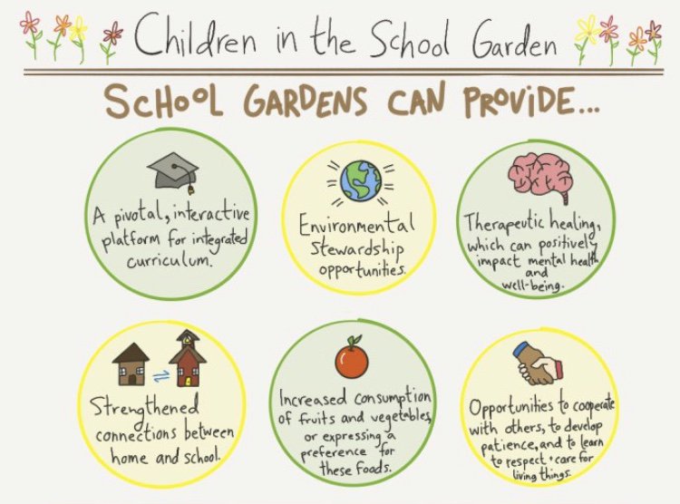 KaylaWicks8's tweet photo. Prior to my enquiry into school gardens, my initial thoughts for implementing a veggie garden were solely for the nutritional benefits for students. Since then, the social, health and wellbeing, historical and cognitive benefits have become clear! #UoNTeach https://t.co/7YDQmi5Md8