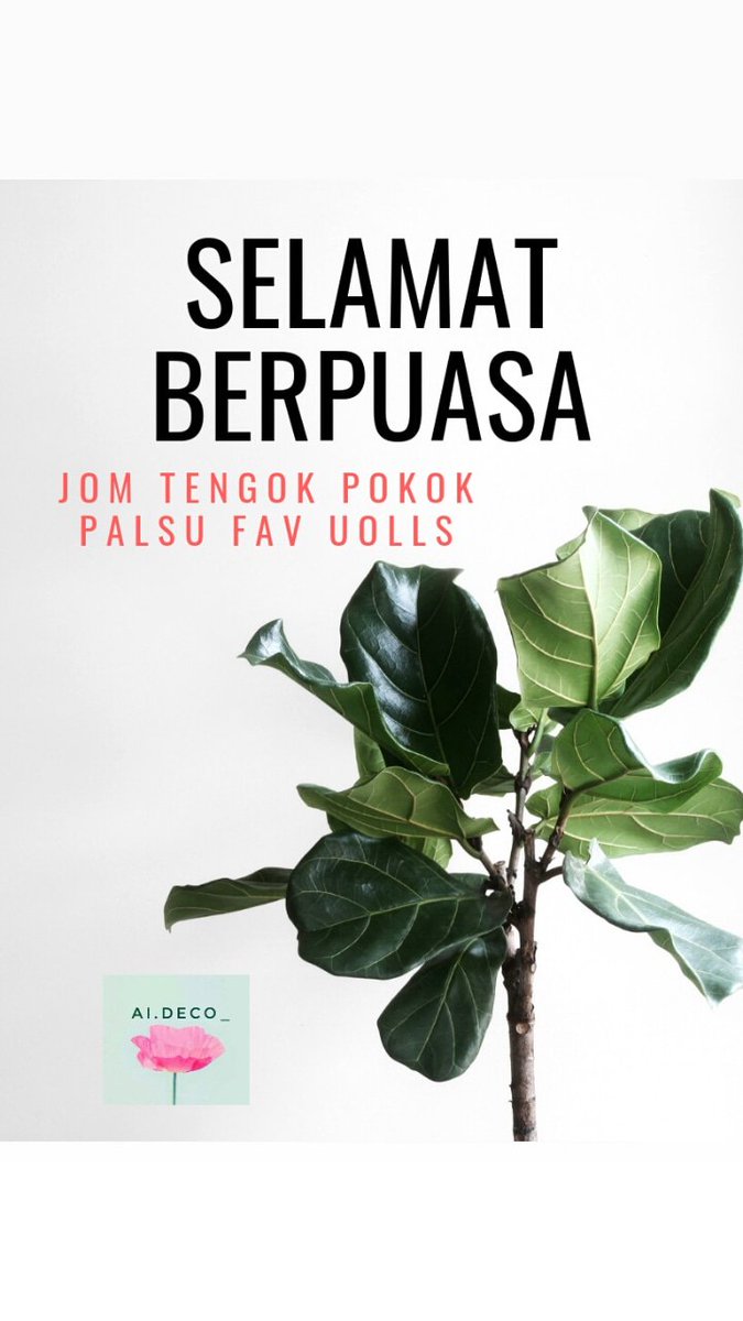 aideco_'s tweet photo. Salam Ramadhan. Jom cekidau IG @ai.deco_ . Ada banyak pilihan pokok palsu. Close order 10/5 ni tau kalau nak dapat pokok before raya! 😎 https://t.co/TeVtZfUgbX