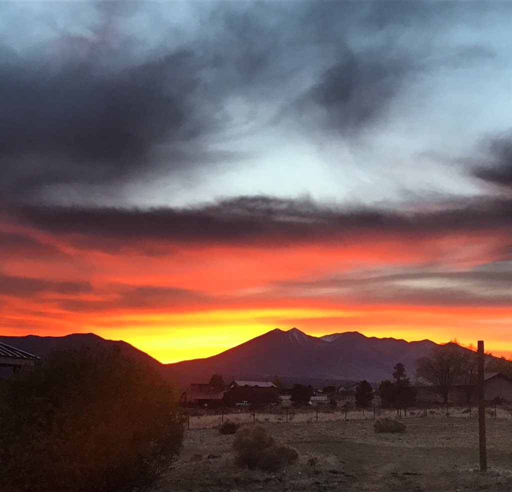 NAU Alumni tweet media