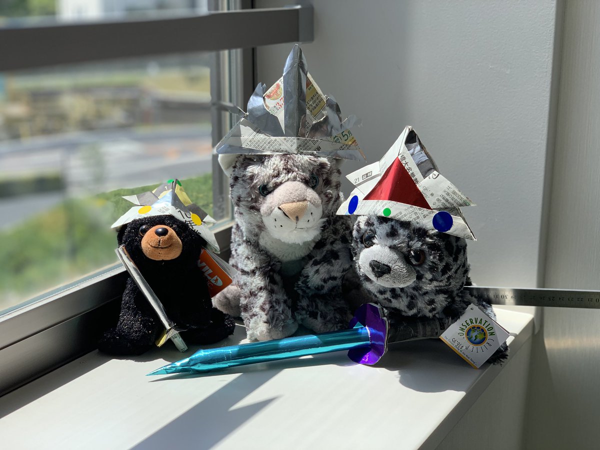 stuffedanimal2's tweet photo. 昨日はこどもの日だったので、新聞紙で兜を作りました！
どう？似合うかな？ https://t.co/ZMCw0STy3P