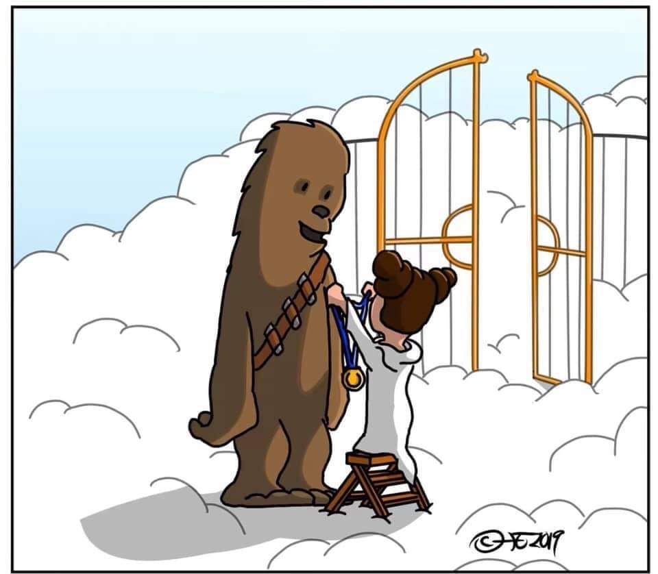 papadoc5656's tweet photo. Damn this one finally got Me in the #NerdFeels, #RIPPeterMayhew #Chewbacca will live on forever. https://t.co/LMnhyEe4Q7