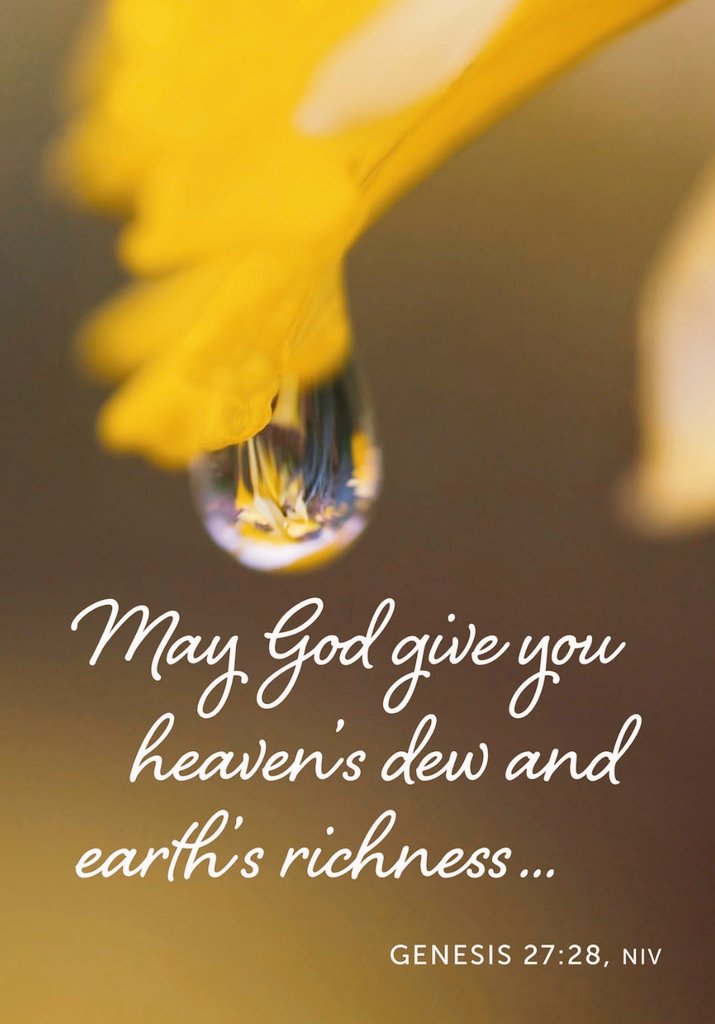 cindytrimm's tweet image. I pray that u will have an epic week! I decree: peace, contentment, prophetic insight, wisdom, favor, successful negotiation skills, busness acumen, clarity, cutting edge strategy, world class performance &amp;amp; a sense of direction be given 2 u this week &amp;amp; throughout this year!