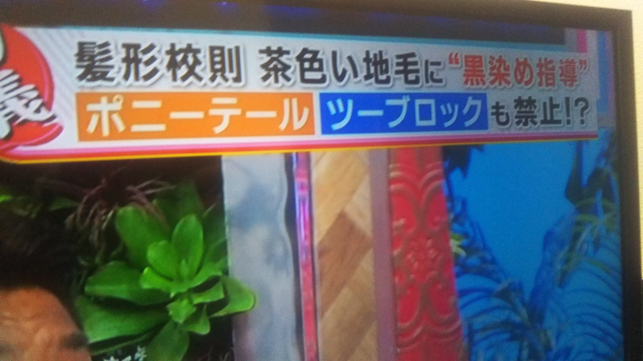 画像 ポニーテール禁止の校則はどう考えてもツインテール派のおっさんたちが制定した職権乱用校則だと思ってる 禁止の理由が男子生徒を欲情させる恐れがある てわけわからんで まとめダネ