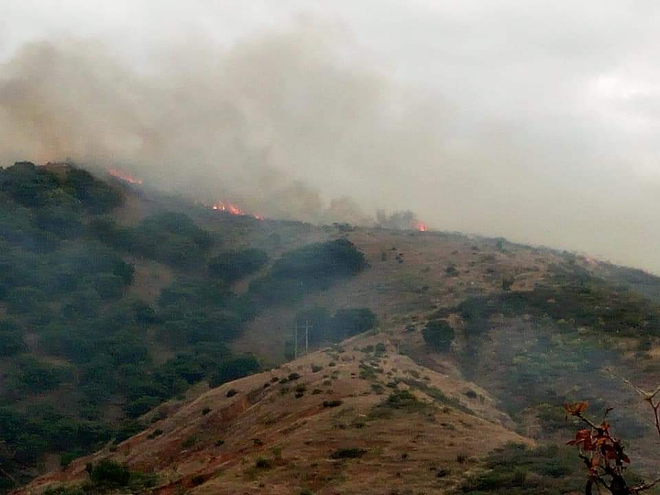 ZonaFrancaMX's tweet photo. #PorSiTeLoPerdiste #Seguridad 🚨 | Guanajuato: Imparable incendio en presa de Mata #DeMata #Guanajuato #incendio
#Entérate 👉 https://t.co/80E7ZGEGGq https://t.co/OxXBJaqq7X