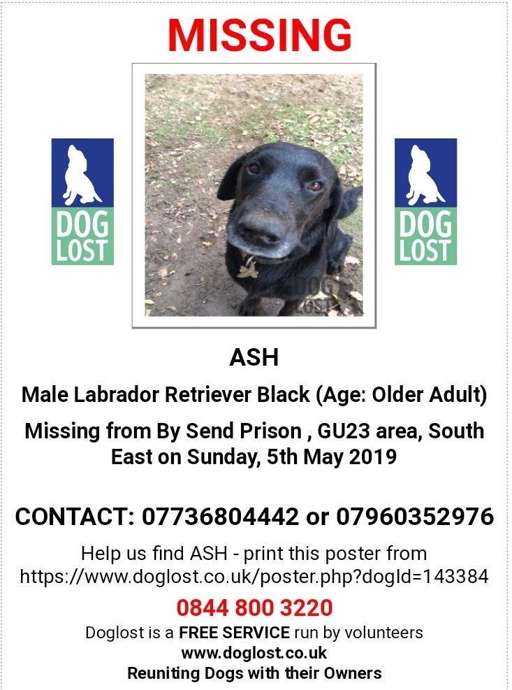MissingPetsGB's tweet photo. π This lovely older lab boy went #missing yesterday. His name is ASH and he was last seen by
Send Prison Ripley Road #Woking #Surrey #GU23 #HMPSend @HmpSend
If seen please call number on poster. Ty https://t.co/HaGdrpz5mI