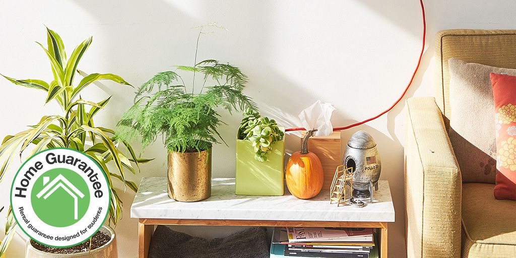 Dear #Universities across the #UK! - We can partner with you and your internal #StudentHousing team in helping students find a #RentGuarantor. Find out more here: buff.ly/2GLZKQI