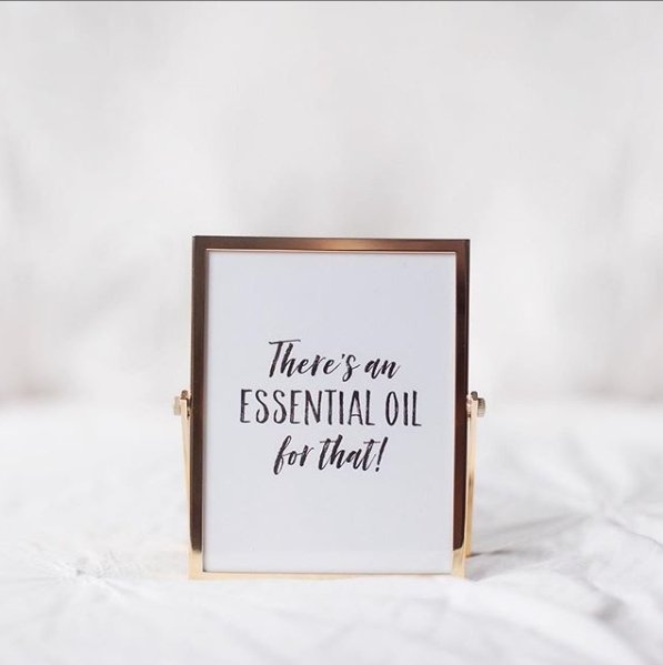 bezense's tweet photo. What essential oil blend do you want us to release next? Image by @ascent.oils #zense #bezense #zensation #lifestyle #healthy #healthylifestyle #allnatural #breathe #essentialoils #wellness #holistic #aromatherapy #holistichealth #nontoxic #therapeutic #… https://t.co/eFj4w6UueI https://t.co/1PZCcajdz7