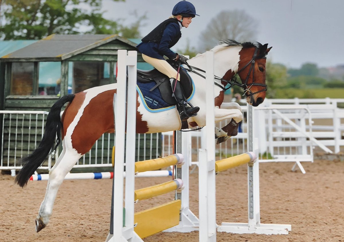 wagyufarms's tweet photo. Well done to the Shepherd sisters who represented @PockSchool equestrian yesterday and both getting placed. Daisy qualified for the championships @AddingtonManorE in October. https://t.co/TukO7TmT59