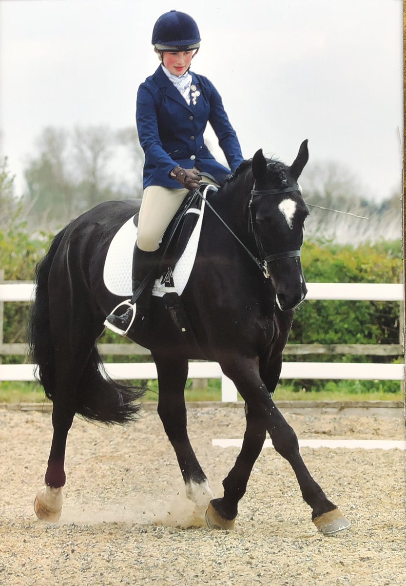 wagyufarms's tweet photo. Well done to the Shepherd sisters who represented @PockSchool equestrian yesterday and both getting placed. Daisy qualified for the championships @AddingtonManorE in October. https://t.co/TukO7TmT59