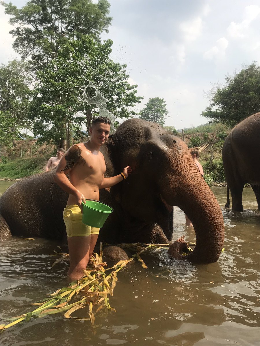 JoshTur24062935's tweet photo. 🐘 https://t.co/RtP3p6FY6k