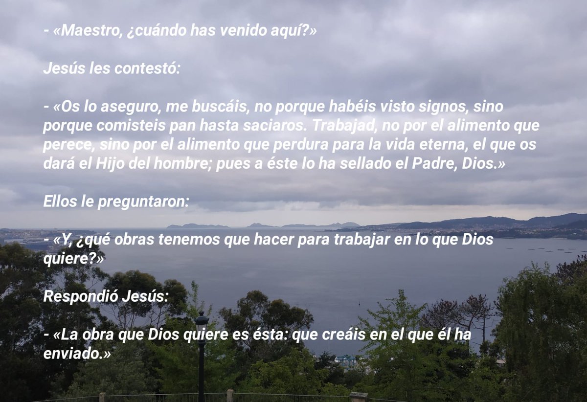 CorazonVigo's tweet photo. Evangelio del día. #sagradocorazonvigo #corazonvigo #diocesetuivigo https://t.co/uo7mTjXF9q
